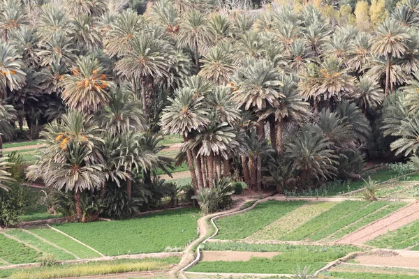 stock image Morocco Traditional Village