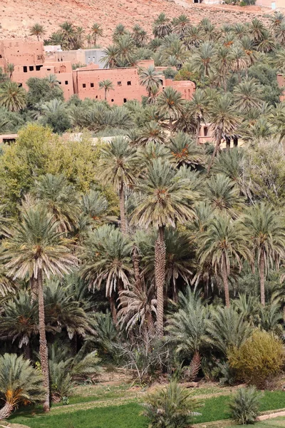 Традиційне Селище Марокко — стокове фото