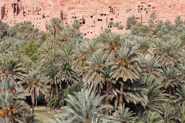 Marocko traditionella byn — Stockfoto