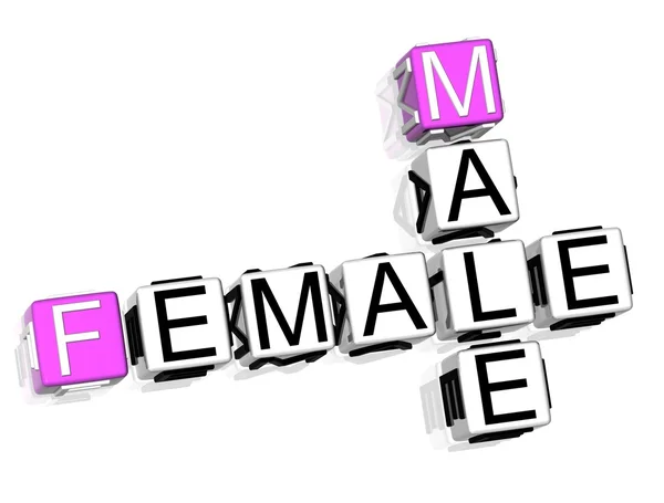 Männlicher Weiblicher Kreuzworträtsel Text Auf Weißem Hintergrund — Stockfoto