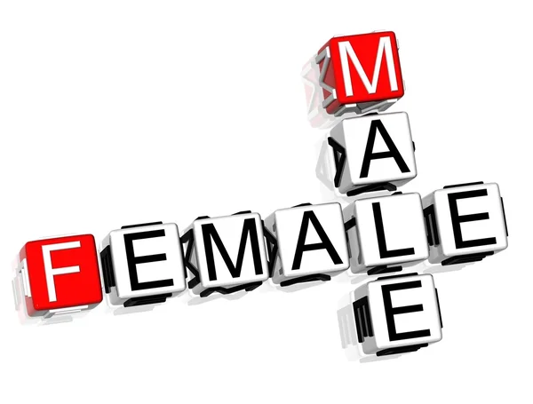 Masculino Feminino Crossword Texto Sobre Fundo Branco — Fotografia de Stock