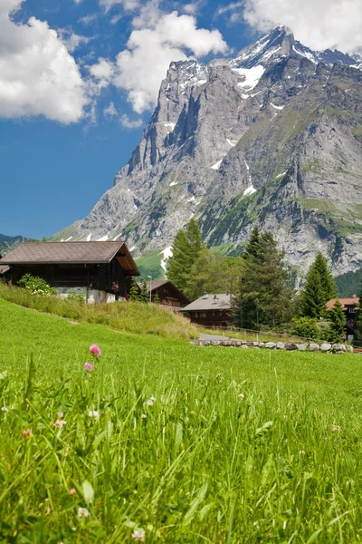 stock image Beautiful mountain landscape