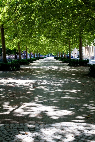 Path through the city park in Konstanz, Germany — Stock Photo, Image