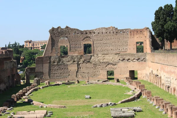 팔 라틴 및 로마 포럼, 로마의 유적 — 스톡 사진