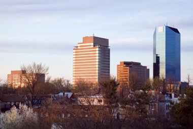 Afternoon light on Lexington buildings. clipart