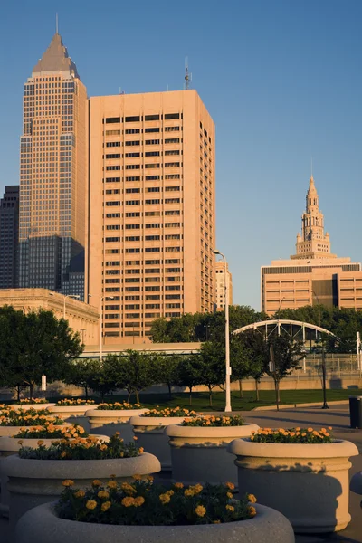 Fiori nel centro di Cleveland — Foto Stock