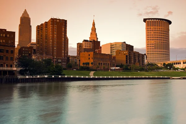 Cleveland brown — Stok fotoğraf