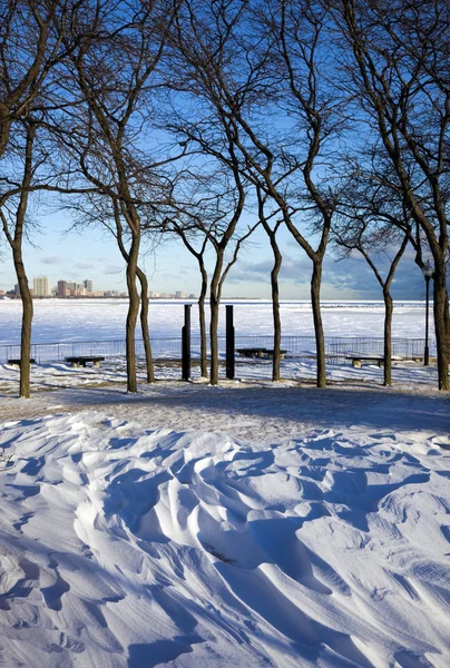 Зима в Чикаго — стоковое фото