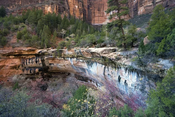 Fall in Zion National Park — Stock Photo, Image