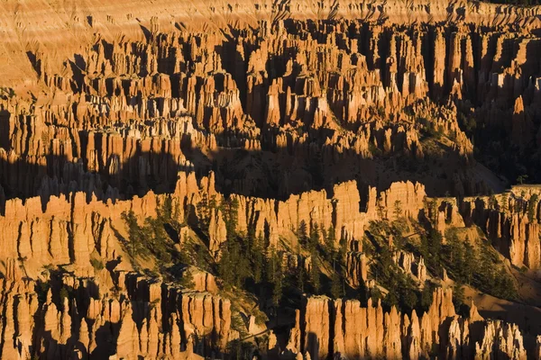 Nationaal park Bryce Canyon — Stockfoto