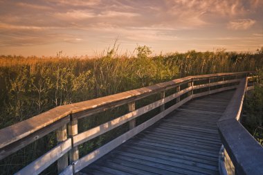 Deck in Everglades National Park clipart