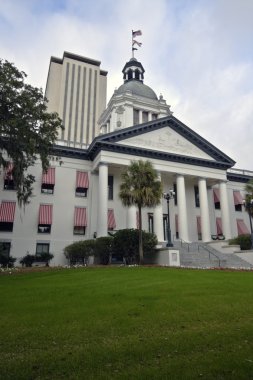 State capitol of Florida clipart