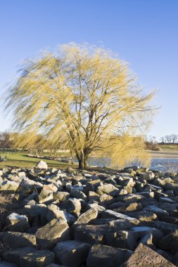 Edgewater park