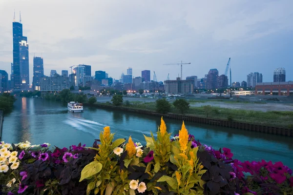 Downtown chicago z kwiatami w fortground — Zdjęcie stockowe