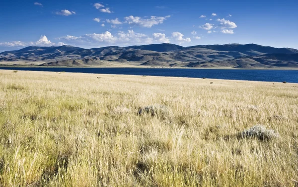 Landschaft von Idaho — Stockfoto
