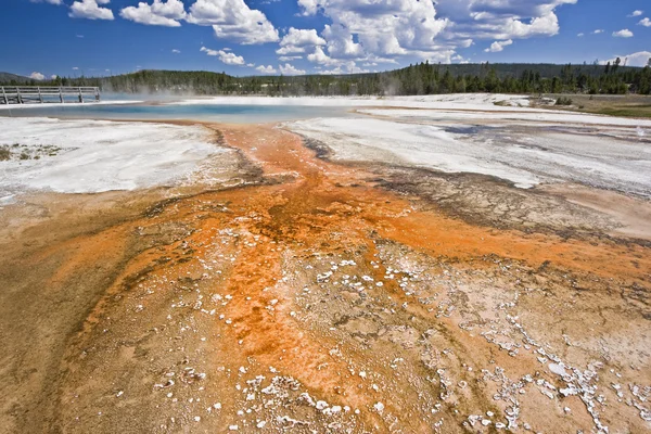 Yellowstone — Stock fotografie