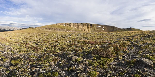 Tundra colorida em rochas — Fotografia de Stock