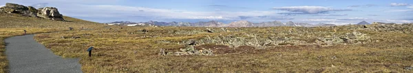 stock image Tundr Trail in Rockies