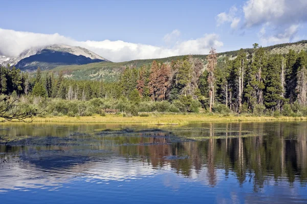 Sjön i rocky mountain national park — Stockfoto
