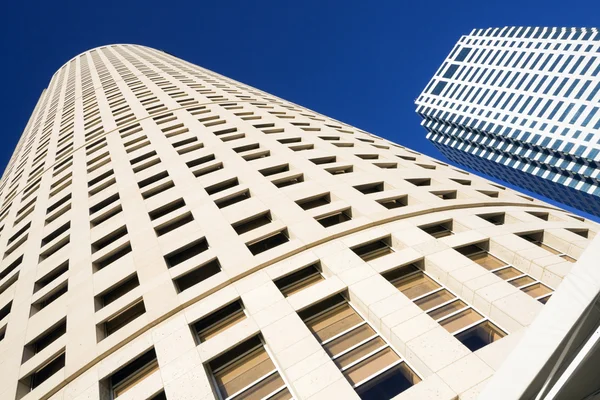 Looking up in Downtown Tampa — Stock Photo, Image