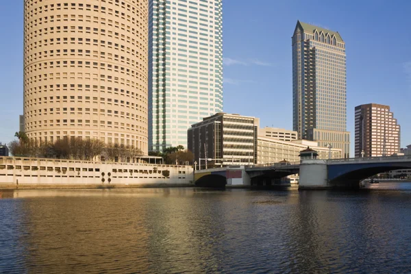Edificios en el centro de Tampa — Foto de Stock
