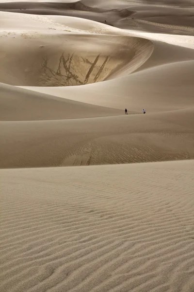 Acordar as dunas — Fotografia de Stock