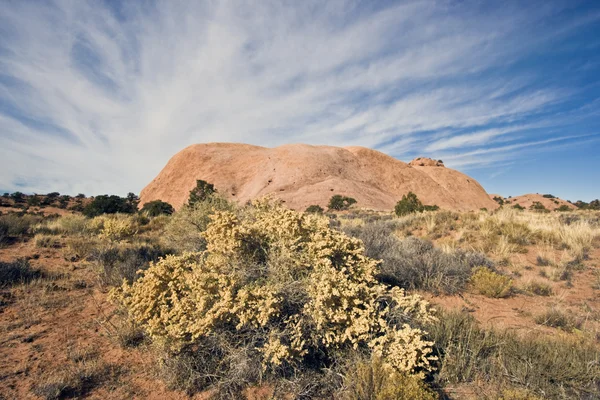 Landscape of Utah — Stock Photo, Image