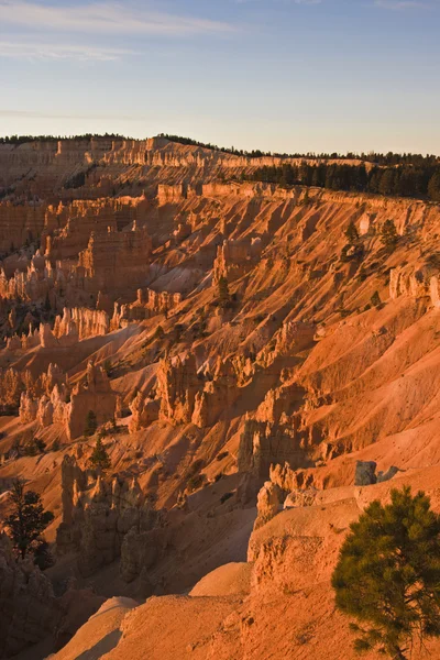 Panorama van bryce nationaal park. — Stockfoto