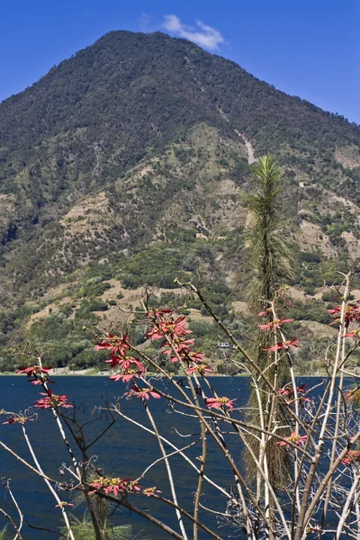 阿提兰湖旁的火山 — 图库照片