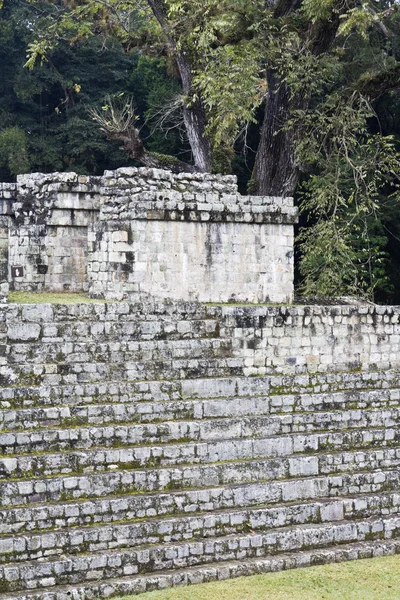 Ruinerna av antika copan — Stockfoto