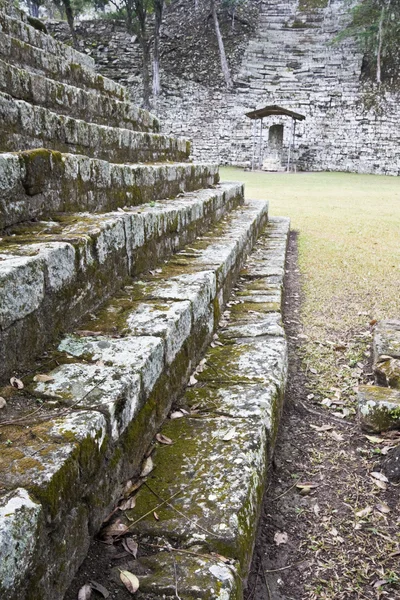 Ruinas del antiguo Copán —  Fotos de Stock