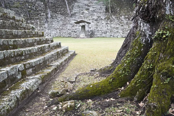 古代コパン遺跡 — ストック写真