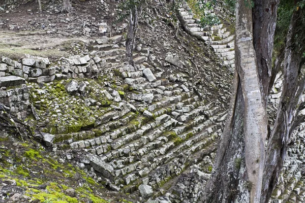 Σκάλες σε αρχαία Κοπάν — Φωτογραφία Αρχείου