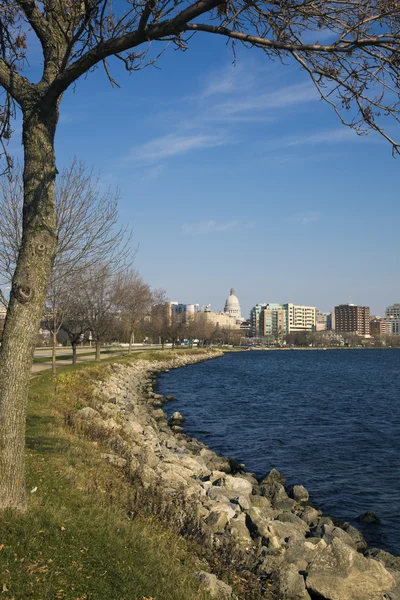 Downtown Madison seen from the park — Stock Photo, Image