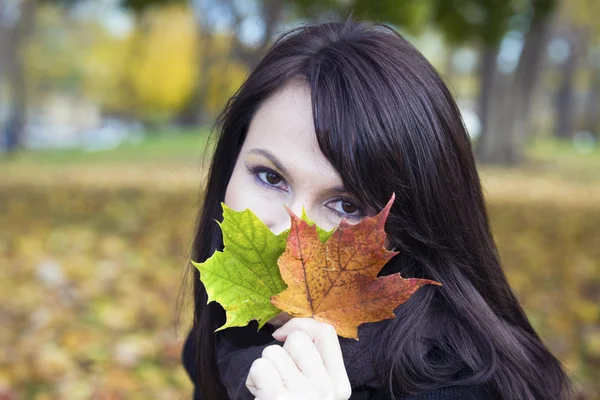 stock image Girl with colorful leaves