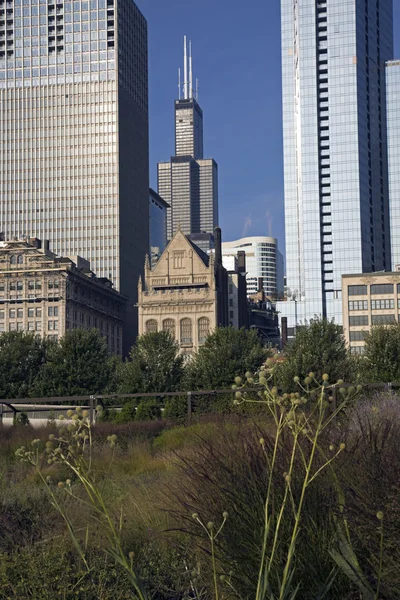 Теракт в центре Чикаго — стоковое фото