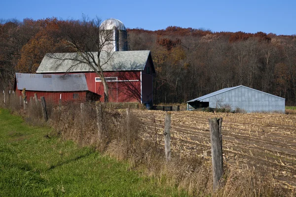Czerwone gospodarstwa czas jesieni — Zdjęcie stockowe