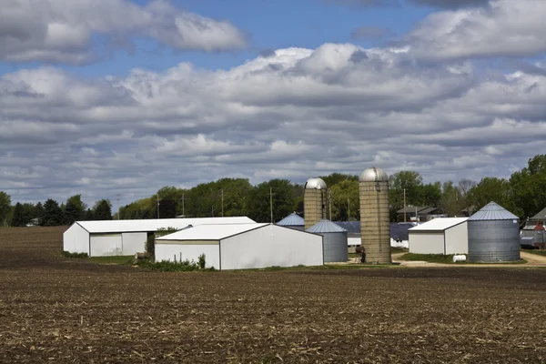 Ферма Висконсина — стоковое фото