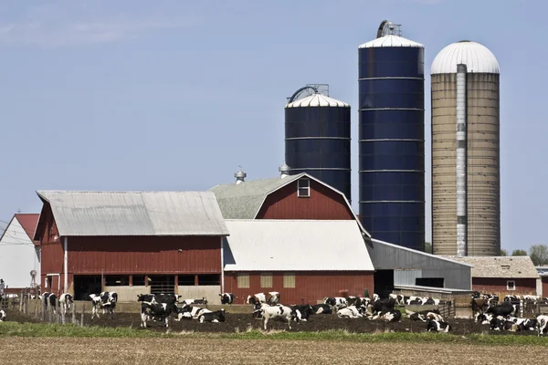 Farmě ve Wisconsinu — Stock fotografie