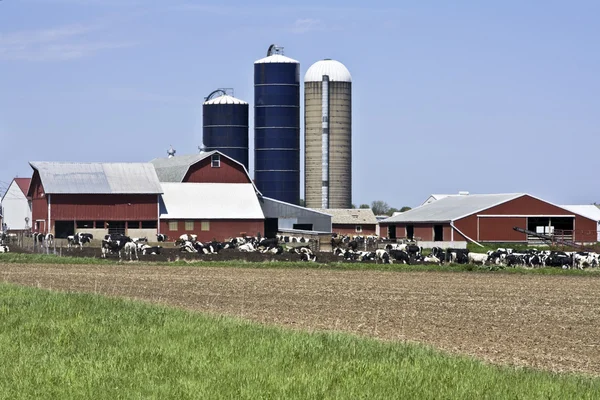 Fazenda em Wisconsin — Fotografia de Stock