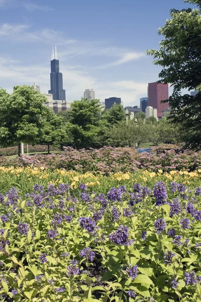Park in Chicago — Stockfoto
