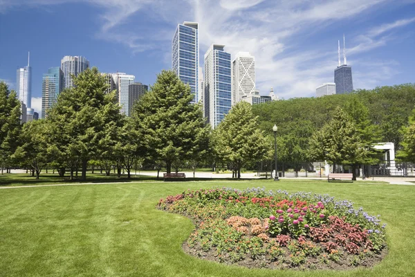 在市中心的鲜花芝加哥 — 图库照片