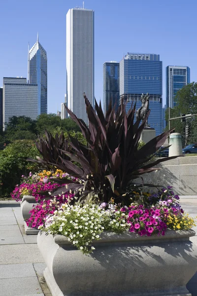 Blommor i downtown chicago — Stockfoto