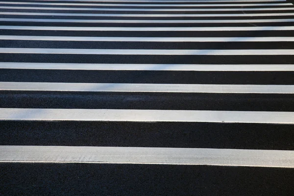 Zebra az utcán — Stock Fotó