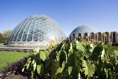 Domes of a Botanic Garden clipart