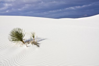 sabah beyaz dunes Ulusal Anıtı