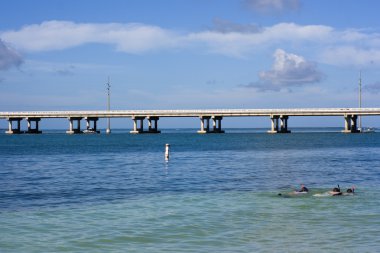 Florida'da snorkeling