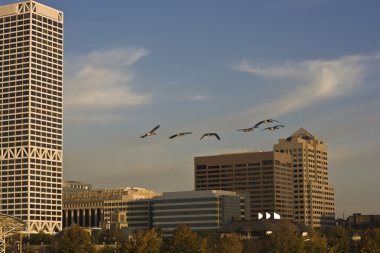 Milwaukee gitme zamanı