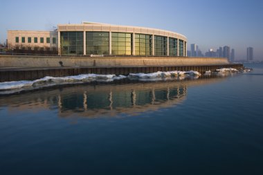 Shedd Aquarium