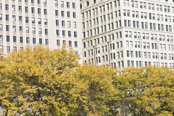 Podzim v Chicagu — Stock fotografie